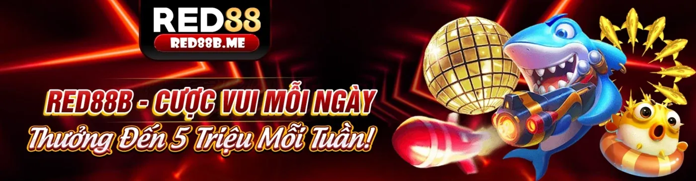 Hình ảnh đại diện cho Điều khoản và Điều kiện VNQ8 Login