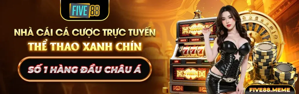 Đặc quyền VIP VNQ8