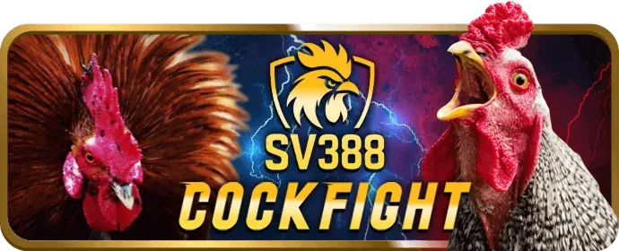 Hoàn Trả Casino Cao VNQ8