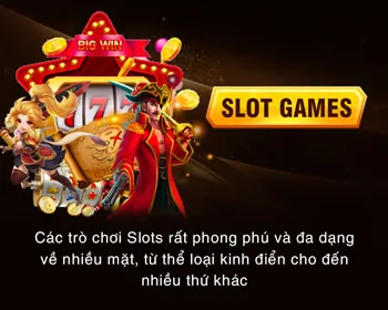Chính sách bảo mật VNQ8